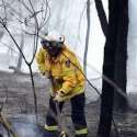 Selamatkan Hutan, PM Australia Siapkan Kompensasi Bagi Pemadam Kebakaran Sukarela