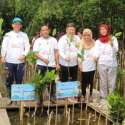 Peduli Lingkungan, Bank DKI Tanam Lima Ribu Bibit Mangrove