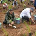 Tanam Vetivier Untuk Cegah Longsor, Jokowi: Jangan Dicabut Ya<i>!</i>