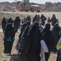 600 Kombatan ISIS Dipulangkan