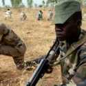 Lima Tentara Nigeria Tewas Diserang ISIS Afrika