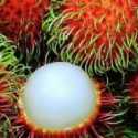 Selundupkan Narkoba Di Dalam Rambutan, Ibu Rumah Tangga Ini Hadapi Ancaman Bui