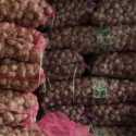 Pemerintah Siapkan Impor Bawang Bombay Sebanyak 2.000 Ton
