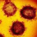 Lacak Penyebaran Covid-19, Ilmuan Inggris Analisis Mutasi Genom Virus Corona