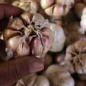 Di Tengah Wabah Corona, Kemendag Buka Kran Impor 150 Ribu Ton Bawang Putih