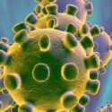 Pemerintah Bentuk Gugus Tugas Protokol Kesehatan Penanganan Virus Corona, Apa Fungsinya?