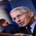 Diisukan Akan Dipecat Trump, Fauci Disebut Sosok Yang Mengacaukan Pemerintahan