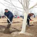 Setelah Wabah Mereda, Presiden Xi Jinping Mengimbau Rakyatnya Untuk Lakukan Penanaman Pohon