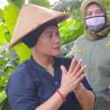 Anggaran Kementan Dipotong Rp 7 Triliun Saat Pagebluk Covid-19, Luluk Nur Hamidah: Pemerintah Disorientasi!