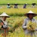 Akankah Stok Beras Indonesia Tercukupi Selama Pandemik?