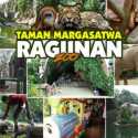 Ragunan Zoo Kembali Dibuka Besok, Jumlah Pengunjung Dan Jam Operasional Dibatasi