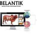 Belantik Online