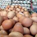 Penyaluran Bantuan Di Majalengka Tak Matang, Lebih Dari 1 Ton Telur Ayam Membusuk