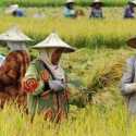 Indef: Kebijakan Kementan Fokus Bantu Petani Dinilai Positif