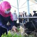 Mampu Bertahan Saat Pandemik, Khofifah Dorong Industri Susu Sebagai Pemulihan Ekonomi