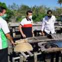 Bupati Klungkung Dukung Produksi Garam Lokal Dari Kusamba