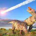 Misteri Penyebab Punahnya Dinosaurus Di Bumi Jutaan Tahun Lalu Akhirnya Terungkap