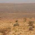 Lebih Dari Sahara, Prancis Dilanda Musim Paling Kering Terparah Sejak 60 Tahun Terakhir