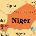 Tentara Niger Dituding Lakukan Kejahatan Perang Selama Penumpasan Jihadis