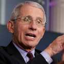 Fauci Merasa Dilecehkan, Tegur Tim Kampanye Trump Yang Telah Mengedit Pernyataannya