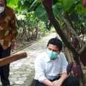Kunjungi Kampung Cokelat, Wagub Emil Pantau Pemulihan Ekonomi Sektor Wisata