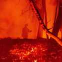 Kebakaran Hutan California Capai 1,6 Juta Hektar, 8.454 Bangunan Hangus