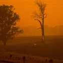 Gelombang Panas Pecah Rekor, Australia Nyalakan Alarm Bahaya Karhutla