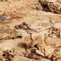 Ratusan Mayat Ditemukan Di Kuburan Rahasia Meksiko