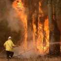 Iklim Menghangat, Australia Harus Siap Hadapi Potensi Kebakaran Liar