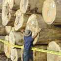 Ungkap Ilegal Logging, Bareskrim Tetapkan Satu Tersangka Korporasi Dan Amankan 6 Ribu Keping Kayu Meranti