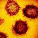 Ahli: Temuan Varian Baru Virus Corona Ancam Keberhasilan Perjuangan Penanganan Pandemi