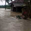 Hujan Terus Mengguyur, 11 Kecamatan Di Aceh Tamiang Masih Terendam Banjir