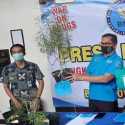 Tanam Ganja Dalam Pot Di Balkon Rumah, Pemuda Di Cilegon Digelandang BNNP Banten