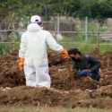Minggu Kemarin, TPU Tegal Alur Jakarta Barat Makamkan 60 Peti Jenazah Covid-19
