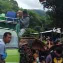 BNPB Benarkan Ada Penjarahan Di Lokasi Bencana Gempa Bumi Sulbar