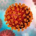 Ilmuwan Inggris Temukan Mutasi Varian Baru Virus Corona Yang Dapat Menghindari Sistem Kekebalan