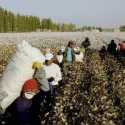 DPR AS Perkenalkan Undang-undang Baru Berisi Larangan Impor Dari Xinjiang China