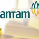 Untuk Wujudkan Pemerataan Ekonomi, PT Antam Perlu Perbanyak Libatkan Putra Daerah