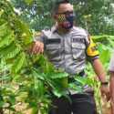 Solutif Di Tengah Pandemi, Bripka Jasman Kolaborasi Dengan Petani Kembangkan Kopi Muting