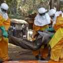 Ebola Bangkit Lagi, Guinea Minta Vaksin Ke WHO
