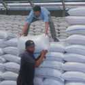 Bulog Pastikan Stok Beras Di Lampung Aman Hingga Tahun Depan