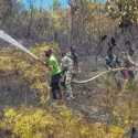 107 Hektare Hutan Dan Lahan Di Aceh Terbakar Sepanjang Februari 2021, Kerugian Capai Rp 14,9 Miliar