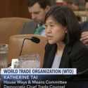 Katherine Tai, Perempuan Pertama Keturunan Taiwan-Amerika Resmi Jadi Perwakilan Perdaganan AS