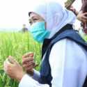 Stok Beras Melimpah, Khofifah Tegaskan Jatim Tak Perlu Beras Impor