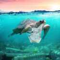Cari Solusi Inovatif Sampah Plastik Di Laut, UNDP Gelar Kompetisi EPPIC