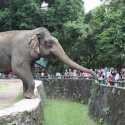 Taman Margasatwa Ragunan Dibuka Besok, Kapasitas Dibatasi 50 Persen