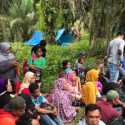 Istana Minta Panglima TNI Dan Kapolri Lindungi Petani Sawit Pelalawan