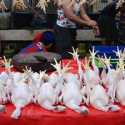Jelang Lebaran, Harga Daging Ayam Di Kota Bandung Sentuh Rp 40 Ribu Per Kilogram