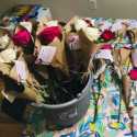 Jelang <i>Mothers Day</i>, Lembaga Advokasi AST Suarakan Aspirasi Kaum Perempuan Turki