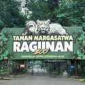Taman Margasatwa Ragunan Kembali Dibuka Hari Ini, Khusus Bagi Warga KTP Jakarta